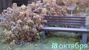 21-10-2025.Дача.Ночные заморозки..(18.10.-19.10.25)