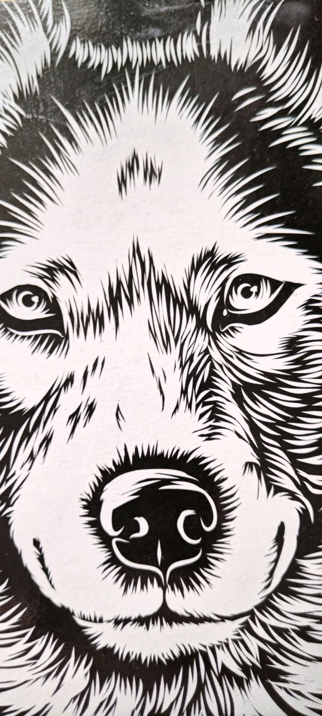 Гравюра хаски