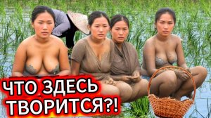 МОЙ МОЗГ ВЗОРВАН. 5 Вещей во Вьетнаме, которые ты НЕ поймешь.