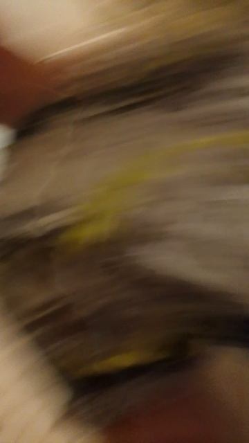 обзор на мой камень России смотреть онлайн