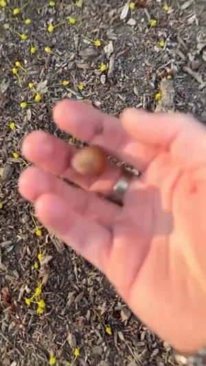 Переиграл по полной 😅