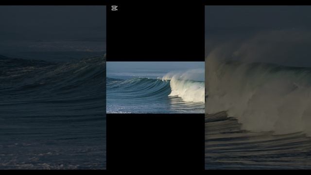 Читая рубаи Хайяма