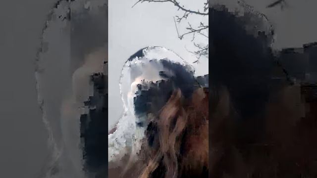 пр смотреть онлайн