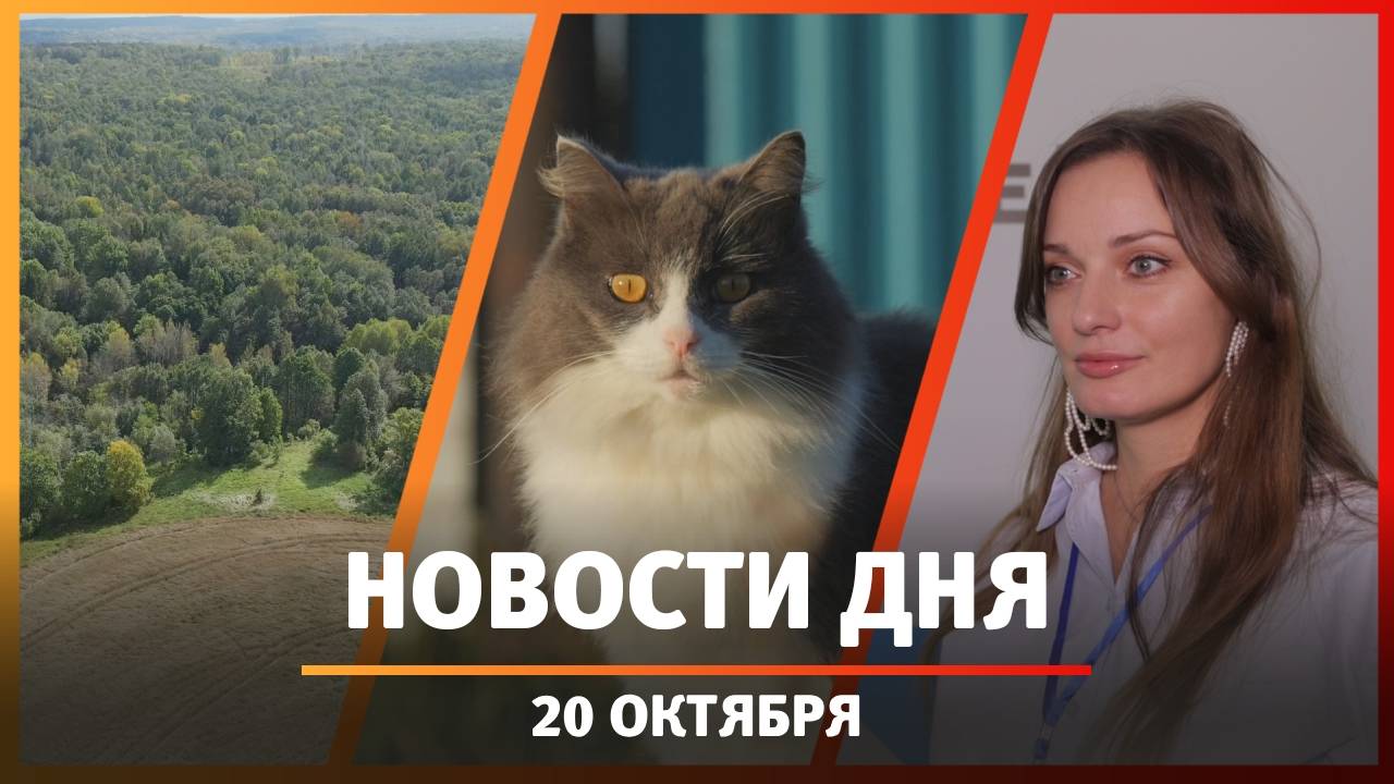 Новости Уфы и Башкирии 20.10.25: эпидемия ВИЧ, взрыв на заводе и трамвайные остановки