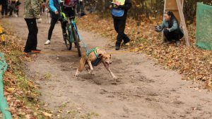 Драйленд «Звезда Черноземья - 2025», Велосипед, Вуди, первый этап