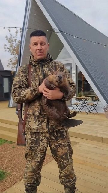 бобер смотреть онлайн