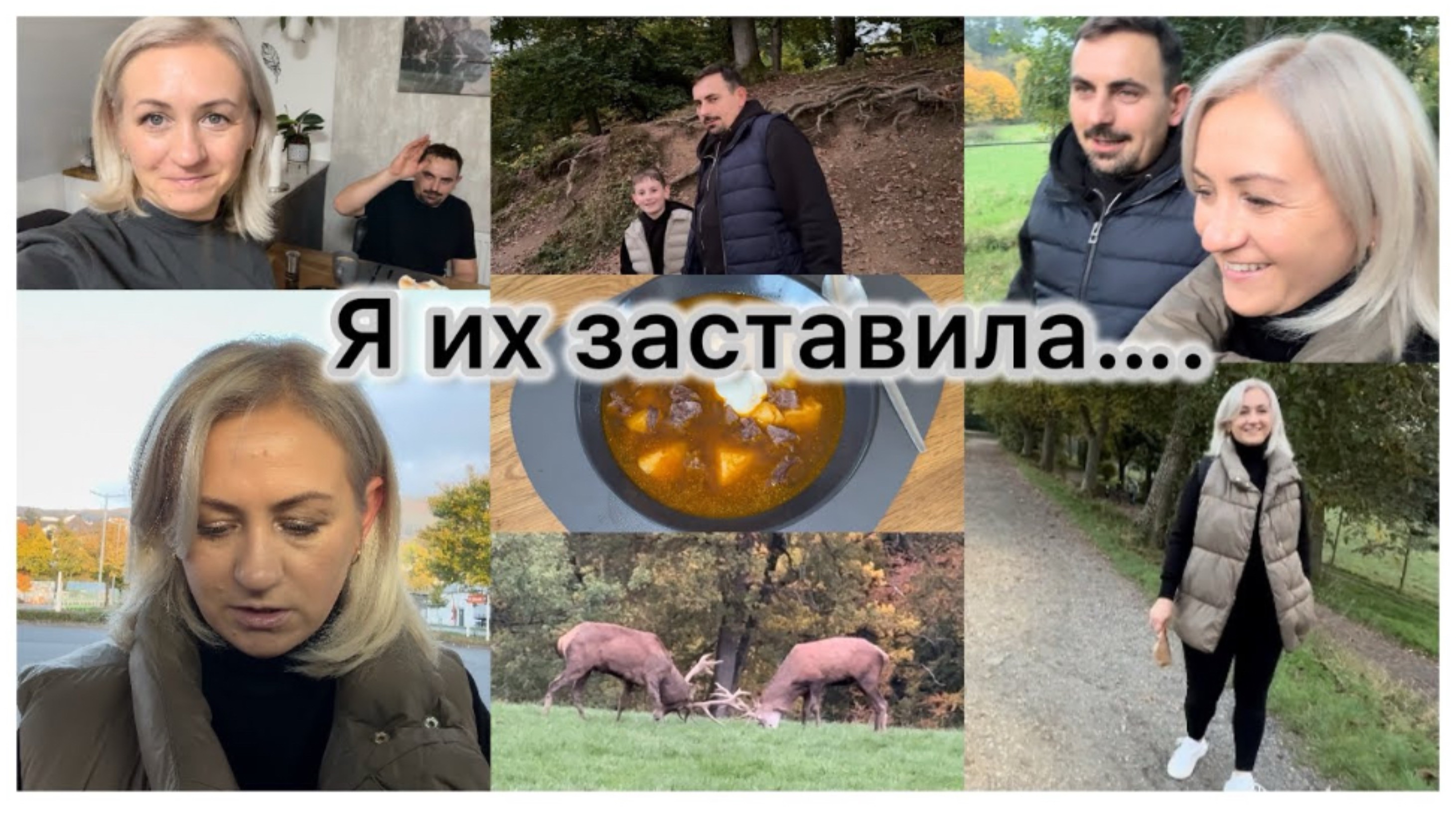 Приготовила обед 🥘 новый маникюр 💅 прогулка в лесном парке 🌲 нашли грибы 🍄🟫 что ем на ужин 🍽️ смотреть онлайн