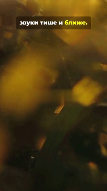 Такова моя осень — золотая, задумчивая, спокойная...