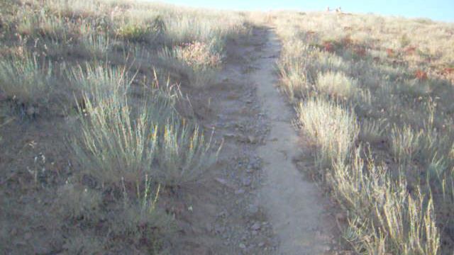 Барлык Арасан (возле оз. Алаколь) 2011 год