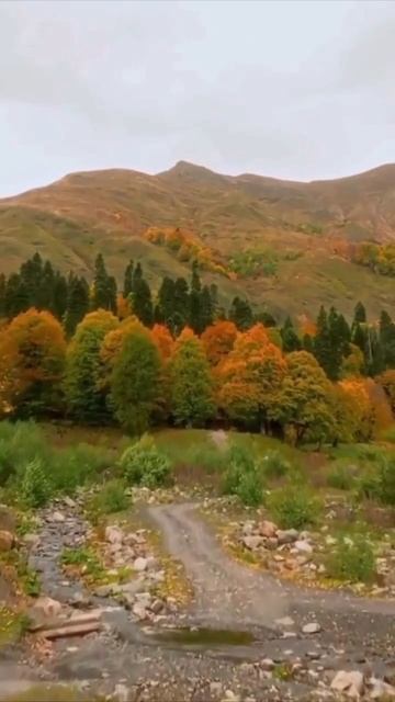 В горах Абхазии осенью в середине октября неимоверно красиво даже в дождливую погоду (20.10.2025) смотреть онлайн