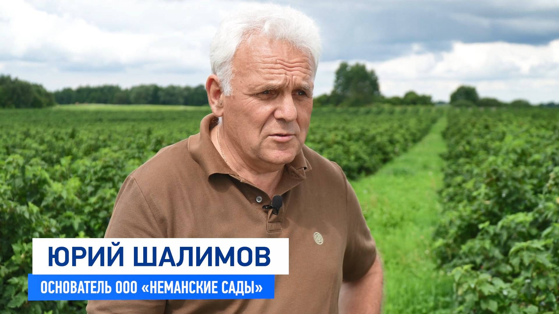 ООО "Неманские сады" смотреть онлайн