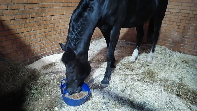 VID_20251020_133928.mp4