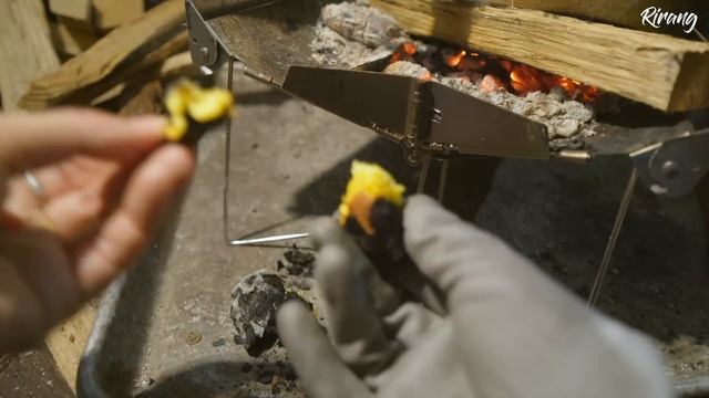 Rirang Onair - Raining, Purring And Solo Camping 🐈