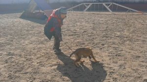 Араванна, игра