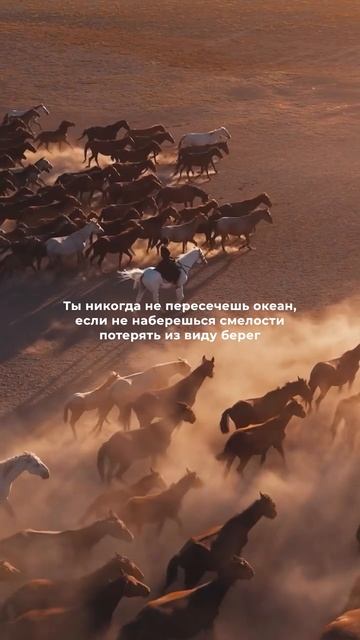 Мы начинаем важную тему для Лилового коммьюнити— тема смелости. Подробности в описании 💜 #лила