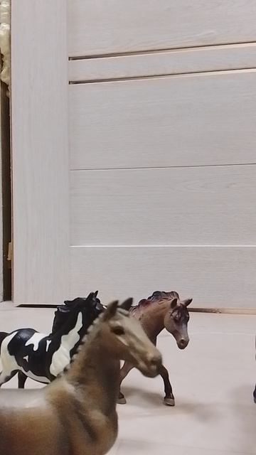 мы вернулись