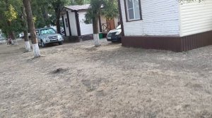 КЕМПИНГ КЕДР ЕЙСК ОБЗОР