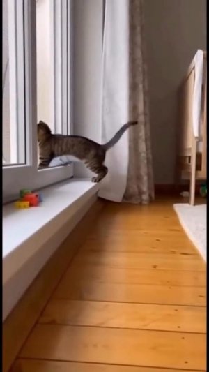 Опасная домашняя ситуация