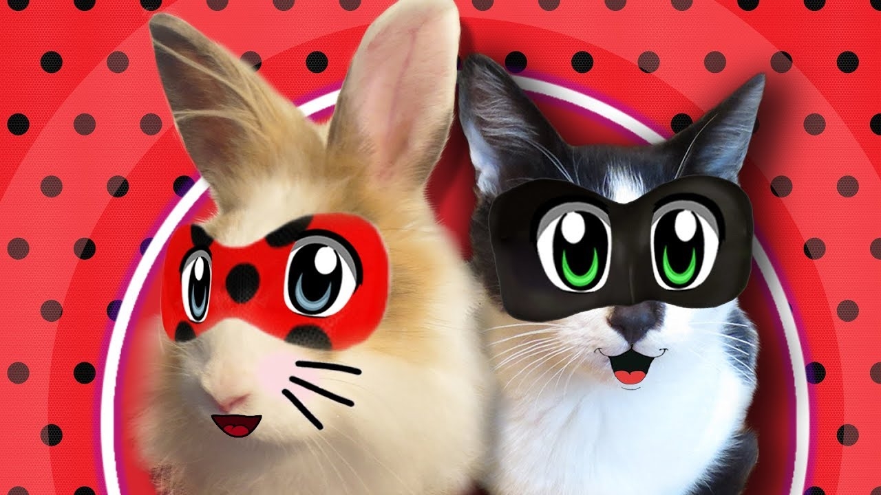 ЛЕДИ БАФ И СУПЕР КОТ МАЛЫШ В ПОИСКАХ КНИГИ! [2019] смотреть онлайн