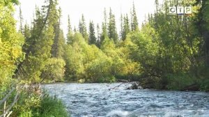 На границе науки и мистики: тайны русской глубинки