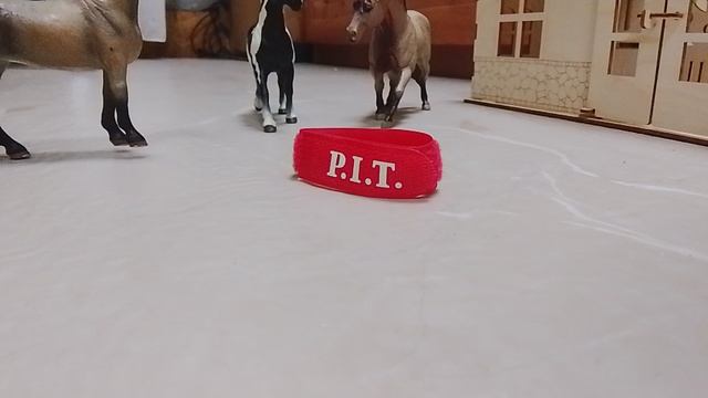 месть Вихрю часть 4