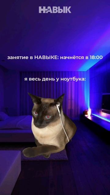 Наши ученики перед занятием