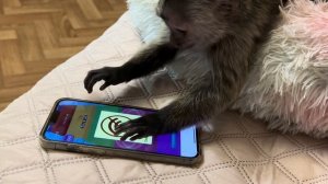 МЫ В ШОКЕ! Финик ИГРАЕТ В ТЕЛЕФОН и даже не думает нам его отдавать!