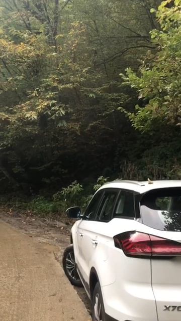 #Beautiful смотреть онлайн