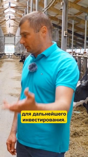 Получил деньги? Нужно ИНВЕСТИРОВАТЬ #фермер #сельскоехозяйство #коровы #инвестиции #ферма #агро смотреть онлайн