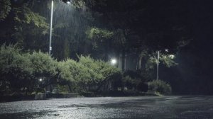 Настоящие звуки дождя для глубокого сна и снятия стресса 🌧️