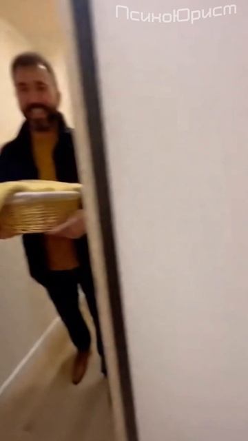 Что общего у кота и алиментов?