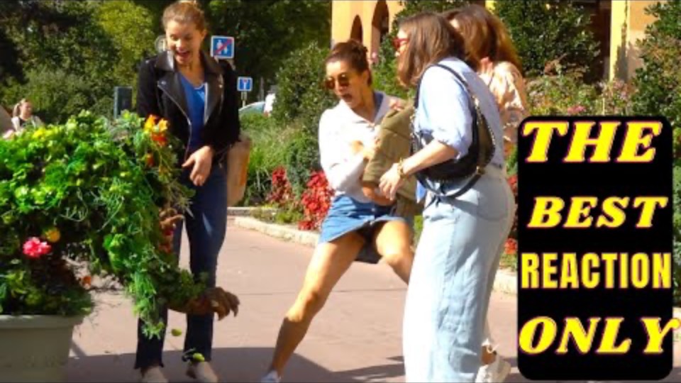 Bushman’s Best Scares_ Hilarious Bushman Scares Of All Time!_