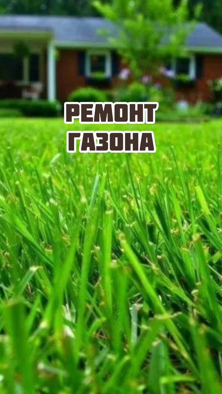 Ремонт газона смотреть онлайн