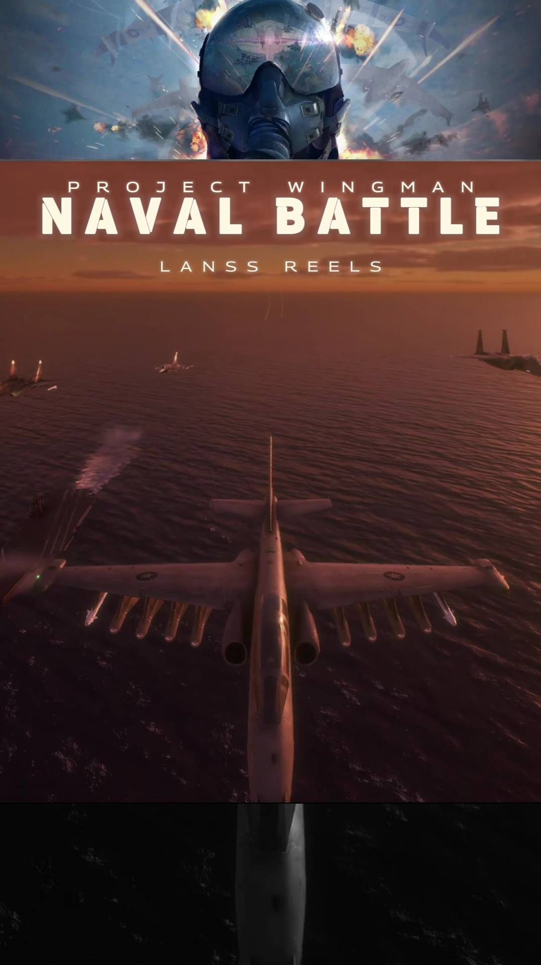 PROJECT WINGMAN | АТАКА НА КОРАБЛИ СНАБЖЕНИЯ