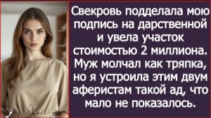ИСТОРИЯ ИЗ ЖИЗНИ/Свекровь подделала мою подпись на дарственной и увела участок в 2 миллиона