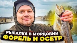 Платная рыбалка в Саранске. Рыбалка на форель и осетра в Мордовии. Рыбалка в Мордовии