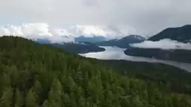 Сила момента. Здесь и сейчас. смотреть онлайн