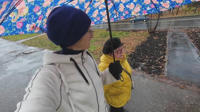 Хроника в городе в середине октября 2025 года. Покров смотреть онлайн