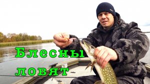 Щука в ЗАРОСЛЯХ. Ловля на НЕЗАЦЕПЛЯЙКИ.