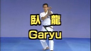 Гарю - Ката Карате Кёкусинкай (Garyu - 臥竜)v.2
