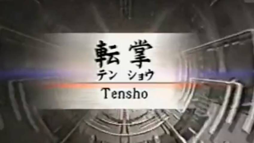 Теншо - Ката Карате Кёкусинкай (Tensho - 転掌)v.2 смотреть онлайн