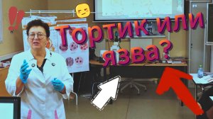 Что еда делает внутри нас?