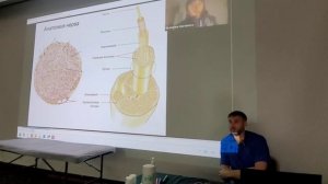 Семинар в г.Пятигорск- 6 (детская)ступень, сентябрь 2025 (часть 1)