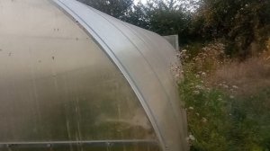 Если нужен нам томат, мы заглянем к себе в сад...