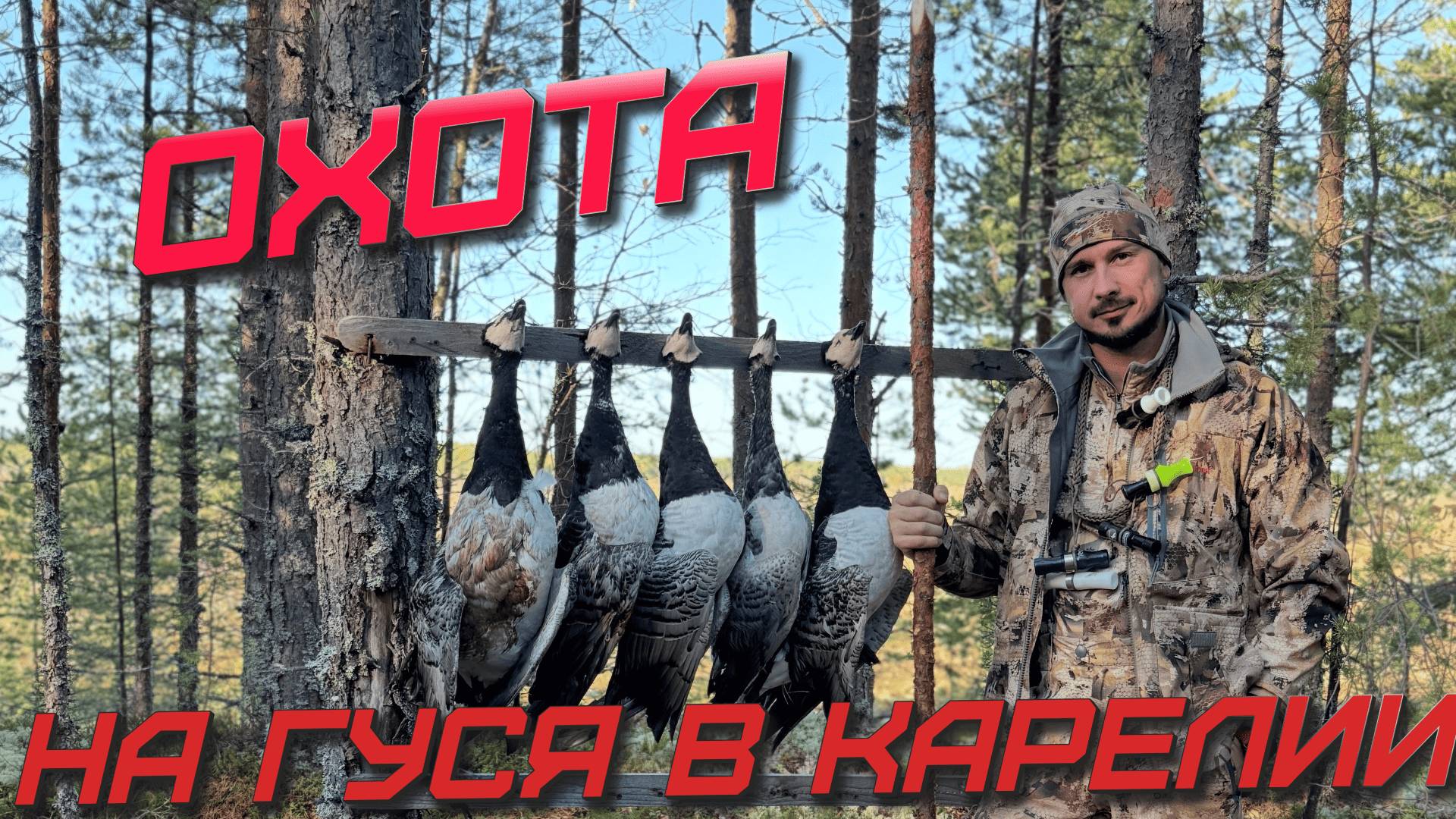 ОХОТА НА ГУСЯ В КАРЕЛИИ! смотреть онлайн