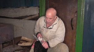 Делаем сыромятину Урок1 СРЕЗАЕМ ШЕРСТЬ и ПРИРЕЗИ МЯСА РаботЭВЕНКИЙСКИМ  НОЖОМ