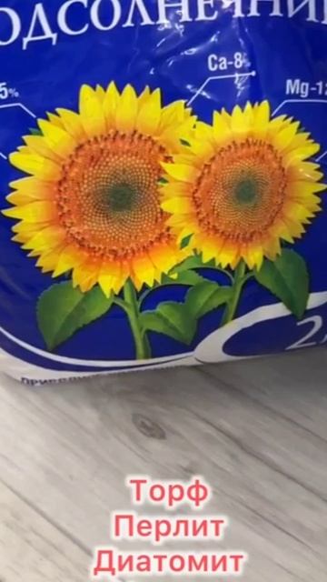 Осенью даже коряга оживет и нарастит пышный куст смотреть онлайн