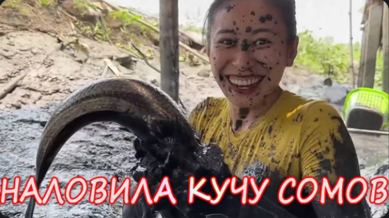Вьетнамская девица вся в грязи и наловила кучу сомов
