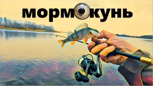 Попали на Жор окуня с мормышингом