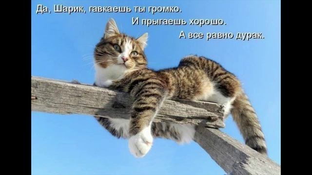 Разговоры с коллекторами 100 смотреть онлайн